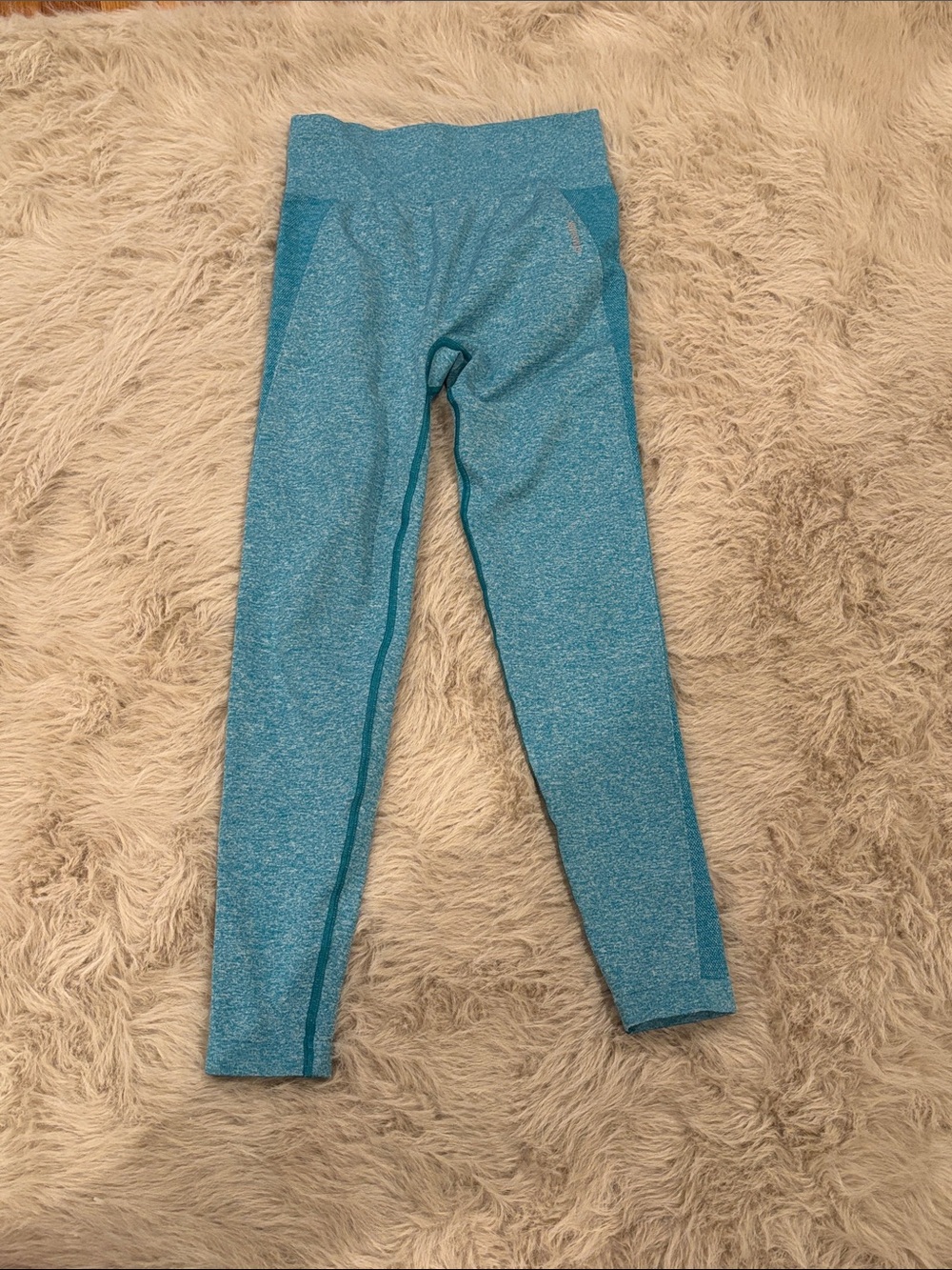 Gymshark Active Leggings in Teal